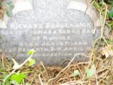 image of grave number 954308